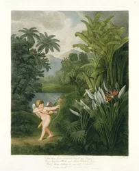 Paysage avec Cupidon visant une flèche sur un perroquet ou une fleur de reine, de 